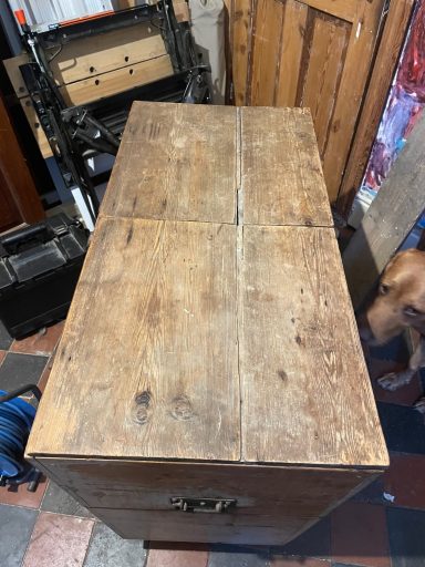 Pine trunk for restoration